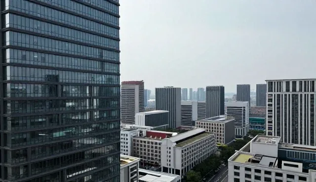 系统维护与升级:选择专业服务还是自主操作