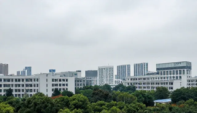 网络安全策略体验中的常见问题与处理方法